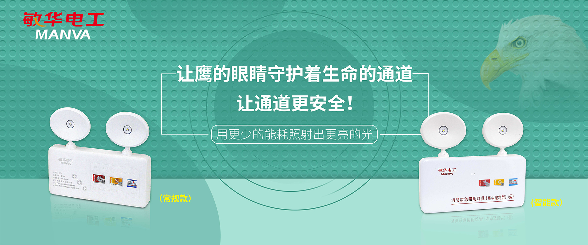鷹的眼睛，守護生命通道