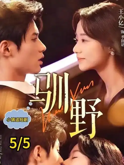 迷雾双生 电视剧 人气第四